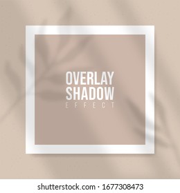 Square Paper Mockup with realistic shadows overlays leaves on beige background. Vector Shadow Of A Tropical Plant. Template Flyer, Poster, blank, social media post, logo template in a trendy style.