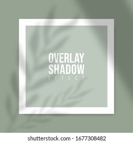 Square Paper Mockup with realistic shadows overlays leaves on beige background. Vector Shadow Of A Tropical Plant. Template Flyer, Poster, blank, social media post, logo template in a trendy style.