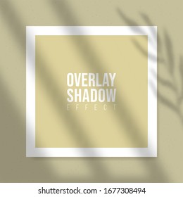 Square Paper Mockup with realistic shadows overlays leaves on beige background. Vector Shadow Of A Tropical Plant. Template Flyer, Poster, blank, social media post, logo template in a trendy style.