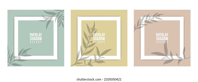 Square Paper Mockup With Realistic Shadows Overlays Leaves. Vector Shadow Of A Tropical Plant. Template Flyer, Poster, Blank, Social Media Post, Logo Template In A Trendy Style.