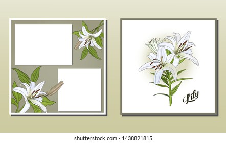 Square postcard and poster with white lily flowers.