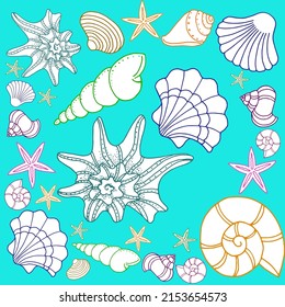 Square postcard sea shells on a blue background
