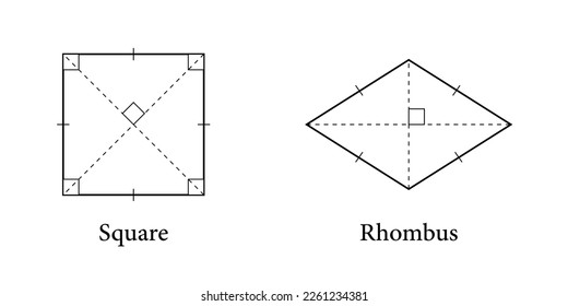 Square and Rhombus shape for kids. 2d shape symbol of square and rhombus. Vector illustration isolated on white background.