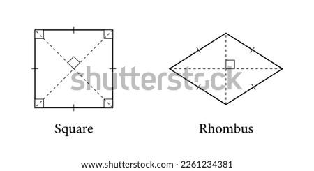 Square and Rhombus shape for kids. 2d shape symbol of square and rhombus. Vector illustration isolated on white background.