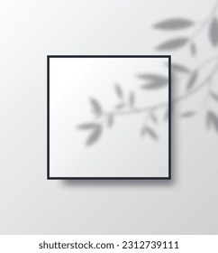 Square shape white poster with black frame with  transparent tree branch shadow overlay. Wall art poster mockup with light of branch. 