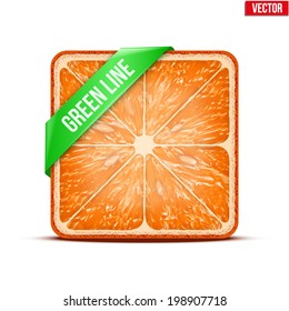 Square slice of grapefruit with green ribbon. Juicy fruit icon. Isolated on white background. Vector Illustration.