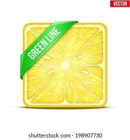 Square slice of lemon with green ribbon. Juicy fruit icon. Isolated on white background. Vector Illustration.