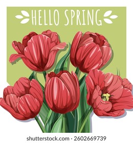 Square Spring Card with Red Tulips and Fresh Greenery. Floral Design for Mother’s Day and Seasonal Celebrations. Perfect for Banners, Social Media. Vector Illustrations