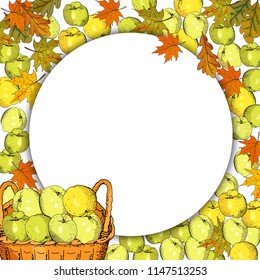 Square template with apples,  basket of harvest, leaves. Hand drawn food illustration. 