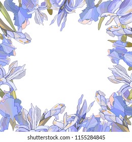 Square template with irises isolated on white. For design of gift boxes, ads, cards, posters, invitations