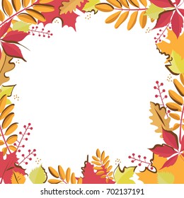 Square template with place for text. Bright autumn leaves on white background. Fall festival, sale banners