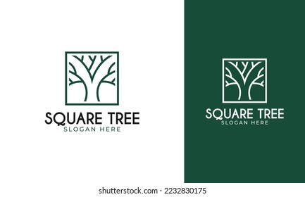 Square tree logo design. Branch symbol with minimal line concept. Nature plant template