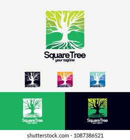 Square Tree Logo Designs Template