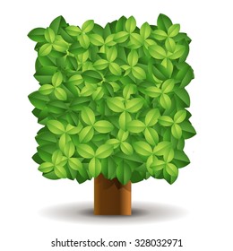 Square Tree in vector illustration