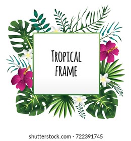 Square tropical frame, template with place for text. Vector illustration, isolated on white background.