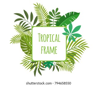 Square tropical frame, template with place for text. Vector illustration, isolated on white background.
