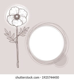 Square vector copy space with outline poppy flower and colored circles 