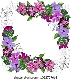 square vector frame with hibiscus
