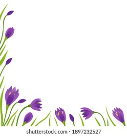 Square vector frame with spring crocuses on a white background. Template for an invitation, advertising layout, for a postcard or letter