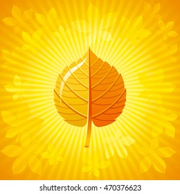 Square vector illustration of abstract autumn background in modern elegant style. Sunny rays and falling leaves pattern. Vintage fall frame with linden leaf