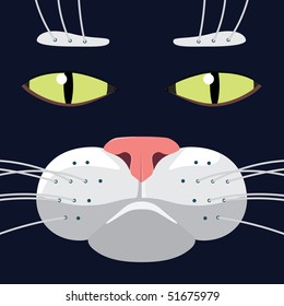 Square vector illustration of cat's face