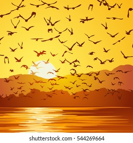 Square vector illustration flock of birds at sunset near coast.