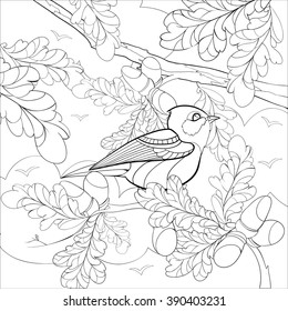 Square Vector monochrome Zentangle stylized abstract bright bird on a branch with leaves and acorns. Art and Color Therapy anti stress. An anti-stress Coloring Book. coloring page adult and children. 