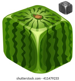 Square watermelon. Vector illustration.