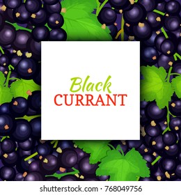 Square white frame, label on black berry background. Vector card illustration. Black currant fruit and leaves for packaging design food juice, jam, ice cream, smoothies, detox, cosmetics, tea
