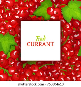 Square white frame, label on red berry background. Vector card illustration. Red currant fruit and leaves for packaging design food, juice, jam, ice cream, smoothies, detox, cosmetics, tea.