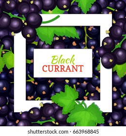 Square white frame and rectangle label on black berry background. Vector card illustration. Black currant fruit and leaves for packaging design juice, jam, ice cream, smoothies, detox, cosmetics, tea