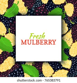 Square white label on mulberry background. Vector card illustration. Mulberries fruit and leaves for packaging design food juice, jam, ice cream, smoothies, detox, cosmetics, tea