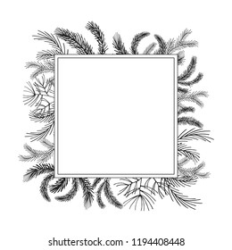 Square winter plants frame. Fir, pine, spruce tree wreath. Rectangular border. Vector isolated illustration.