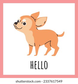 Squared banner with funny smiling chihuahua dog flat style, vector illustration isolated on pink background. Decorative design with hello text, cute little pet, domestic animal