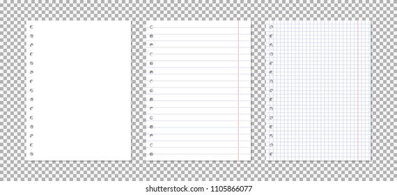 Squared And Lined Paper Sheets Of Notebook Or Copybook. Vector Realistic Paper Sheet Of Lines And Squares Notepad Pages Set Isolated On Transparent Background