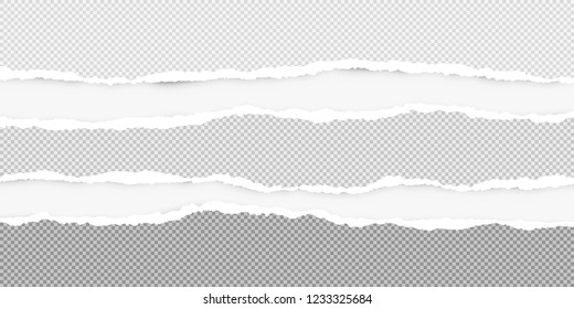 Squared ripped horizontal grey paper for text or message are on white background. Vector illustration