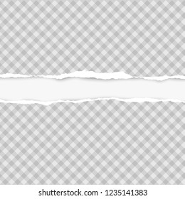 Squared ripped horizontal grey paper for text or message are on white background. Vector illustration