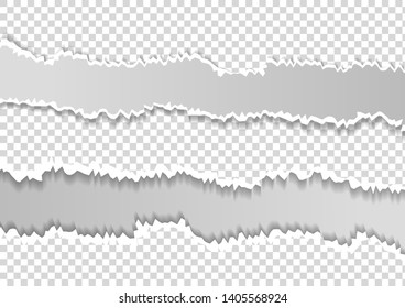 Squared ripped horizontal grey paper for text or message are on white background. Vector illustration