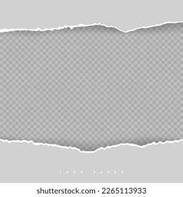Squared ripped horizontal grey paper for text or message are on white transparent background. Vector illustration