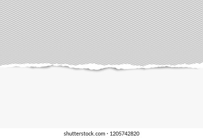 Squared Ripped Horizontal Paper Strip Text Stock Vector (Royalty Free ...