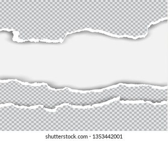 Squared ripped horizontal paper strips for text or message on white vector background