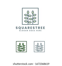 Squares Tree Logo, Tree Logo