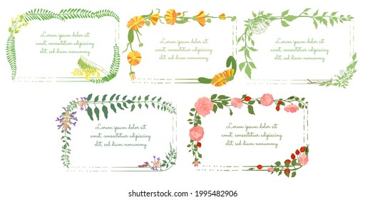 Squarish Frame Decorated by Rosa Canina, Astragalus, Calendula, Angelica Sinensis and Gancao Herbals. Multicolored Herbals with no strokes for Magazine, Recipe book, Poster, Cards, Menu cover etc.