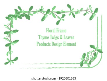Squarish Frame with Rounded Corners and Hand Drawn Thyme Twigs and Leaves. Rough Brush Strokes for Square Sides. Green Colored Thyme with no strokes. Vector for Culinary and other Products.