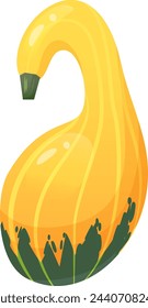 Squash cartoon icon. Autumn natural organic vegetable isolated on white background