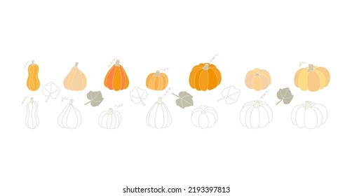 conjunto de ilustraciones vectoriales coloridas de squash