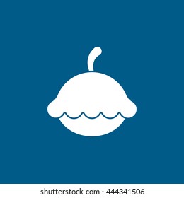 Squash Flat Icon On Blue Background