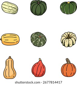 Ilustración de la fruta de la calabaza aislada en blanco