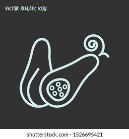 Squash icon line element. Vector illustration of squash icon line isolated on clean background for your web mobile app logo design.