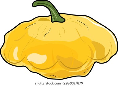 squash illustration isolated on white background